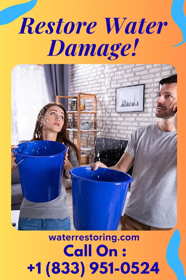 water restoration Citywide Restoration Solutions Services Green Meadows