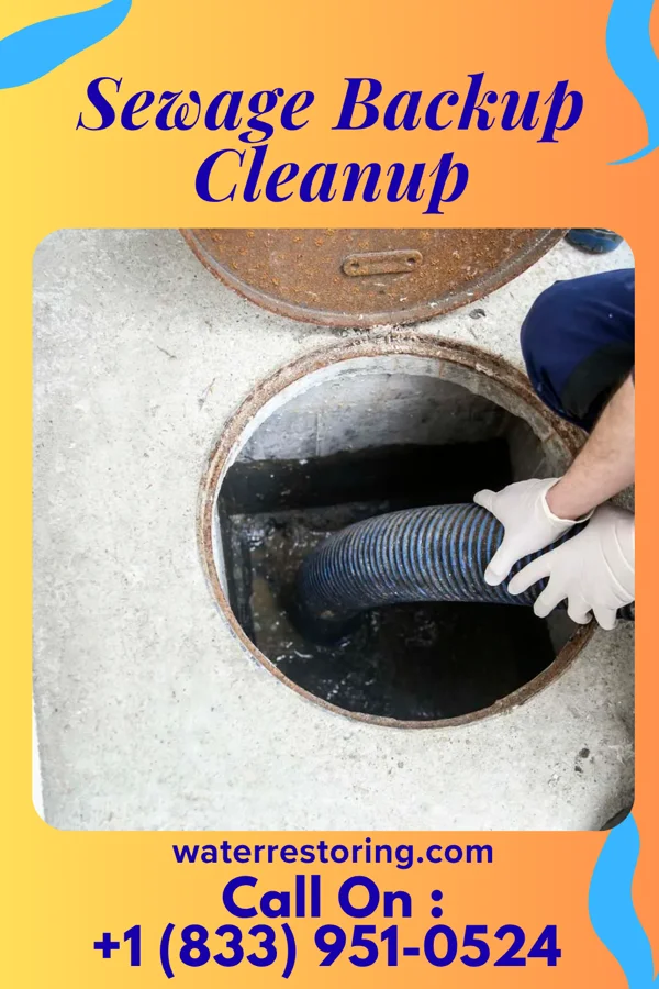 Sewage Backup Cleanup in Green Meadows, OH